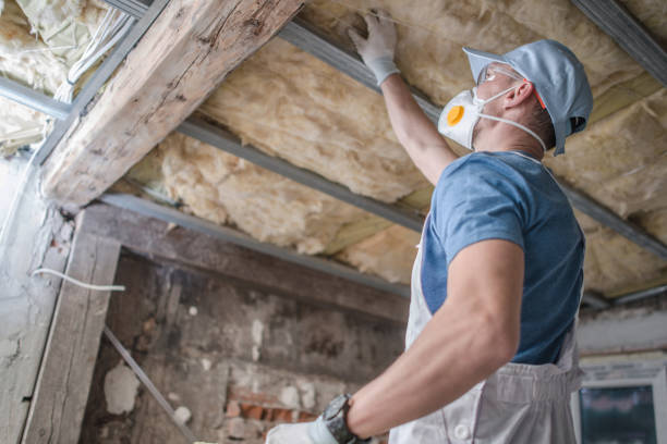 Best Geographic-Specific Insulation Services in Lindenhurst, NY